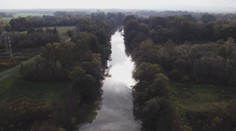 Ochranári na Zemplíne chcú kúpiť močiar. Tvrdia, že je dôležitý pre vzácne vtáctvo a človeka