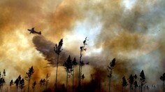 V Taliansku vypukol lesný požiar. Evakuovať museli približne tisíc turistov