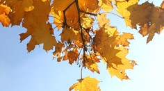 Víkend so sebou priniesol príjemné počasie. V sobotu má byť jasno až polojasno a bez zrážok