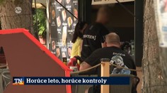 Horúce leto, horúce kontroly