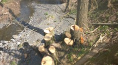 Tisíce podaní. Na Zelenú linku ľudia nahlasujú podozrenia z poškodzovania životného prostredia