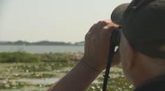 Unikátny Vtáčí ostrov na Dunaji. Prísne chránené územie na Slovensku je vzorom pre ďalšie európske štáty