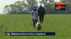 Majstrovstvá sveta v stopách