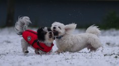 Po niekoľkých nezvyčajne teplých dňoch príde ochladenie a prinesie na Slovensko aj sneh