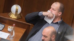 ĽSNS neobnoví poslanecký klub, náhradníčka za Kotlebu o členstvo v ňom nemá záujem