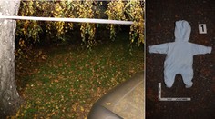 Nepochopiteľné. Okoloidúci našiel pod stromom v Brne opusteného novorodenca