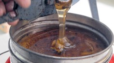 V českom mede objavili antibiotiká