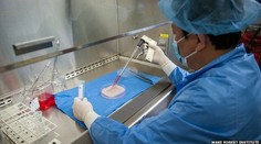 Na leteckej základni v Južnej Kórei zničili antrax, liečbu podstúpilo 22 vojakov