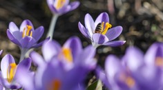 Končí sa meteorologická zima. Na niektorých miestach sú prekonané teplotné rekordy