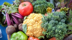 Vedci prešli vyše tisíc potravín a vybrali tie najvýživnejšie. V rebríčku sú aj prekvapenia