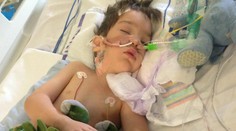 Chlapec zjedol sendvič so šunkou. Nemôže chodiť ani rozprávať