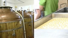 Pivný turizmus: Pozrite sa, čo všetko môžu na Slovensku zažiť milovníci piva