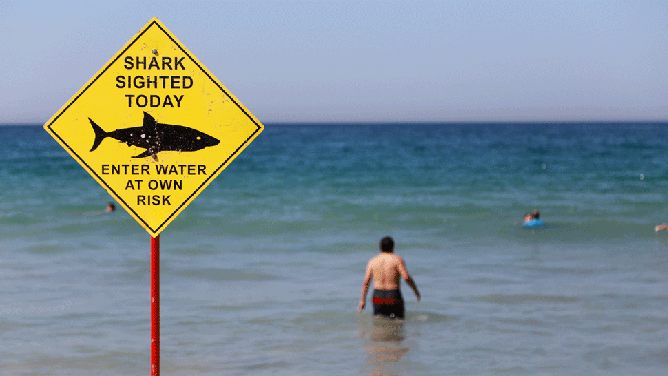 Pri útoku žraloka v Austrálii zomrel mladý muž