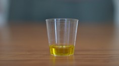 Niektoré sú štipľavé, po iných si kýchnete. Ochutnali sme pravé chorvátske olivové oleje