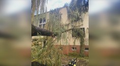 Po búrke v Šali padali stromy. Zrútili sa aj na bytovku priamo do okien