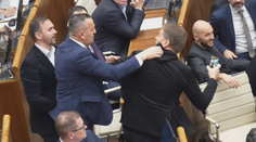 Slovné potýčky v parlamente prerástli do fyzických roztržiek. Svedčí to o neuveriteľnom poklese, hodnotí politológ
