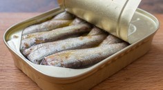 Kupujete si sardinky v konzerve? Tento test odhalil krutú pravdu