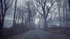 Ako v starom roku, aj v Novom nás čaká teplejšie počasie. Dáždniky majte pripravené