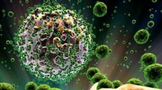 Na Slovensku za necelý rok pribudlo 58 nových prípadov HIV