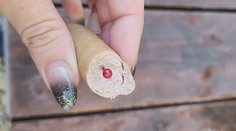 Psíčkari, pozor: Na juhu Slovenska niekto rozhadzuje návnady so špendlíkmi