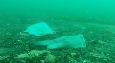 Jednorazové rúška a rukavice končia v mori. Čoskoro ich môže byť viac ako medúz