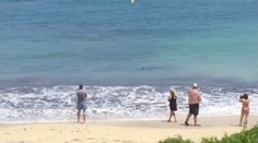 V známom španielskom letovisku vyhnal ľudí z mora žralok