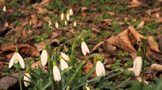 Pred nami je príjemné počasie. Teploty sa môžu vyšplhať až na 14 °C