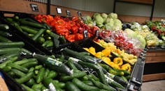 Rusko totálne drví nárast cien. Jedna zo základných potravín prudko vystrelila