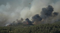 Požiar vo Francúzsku spálil už 8000 hektárov lesa. Silný vietor rozohnal plamene pri hraniciach so Španielskom