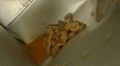 Vieme, čo bola nechutná prísada v multivitamínovom džúse