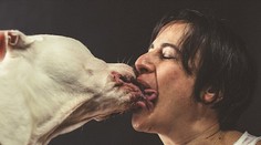 Keď to majitelia psích miláčikov preháňajú