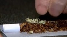 S marihuanou po novom sa črtá problém