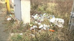 Na ich prilákanie minie Slovensko stovky tisíc eur. Toto je výsledok