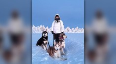 Slováci pracujú so záprahovými psami na severe Fínska. Prezradili, ako zvládajú extrémne teploty