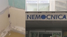 Na toalete jeden, v kúpeľni druhý. Nemocnicu v Bratislave terorizujú šváby
