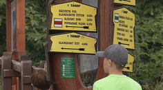 Žlté smerovníky vo Vysokých Tatrách patria k najväčším legendám našich hôr. Kde a ako vznikajú doteraz vedela len hŕstka ľudí