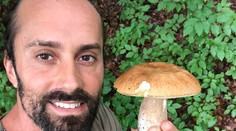 Začala sa v predstihu hubárska sezóna? Ľudia z celého Slovenska sa chvália plnými košíkmi