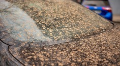 Ak plánujete umývať okná či auto, radšej vydržte. Saharský prach sa už nachádza nad Slovenskom