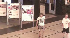 Zažil hrozné zverstvá! Za vraždou Rudolfa sú dvaja tínedžeri