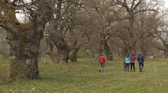 Do hája pri Zvolene sa zamilovali aj filmári z Hollywoodu