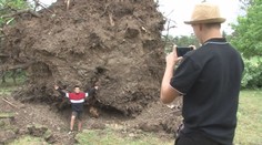 Za obeť padli aj tie najväčšie stromy. Víchrica narobila pri Pamätníku Sovietskej armády vo Svidníku riadny neporiadok