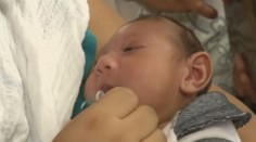 Európa má prvý prípad zika, Brazília z transfúzie krvi