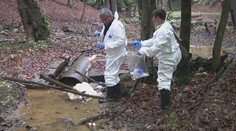 PCB látky zo Zemplína stále neodstránili. Má sa to však čoskoro zmeniť