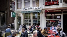 Holandská vláda nie je spokojná s produkciou marihuany. Pestovatelia nespĺňajú ani jednu z troch podmienok