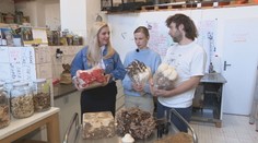 Partia mladých ľudí dostala nápad pestovať jedlé a liečivé huby. Názov projektu okamžite zaujme