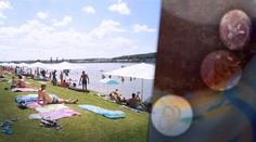 FOTO: Medúzy na Slovensku? Tisíce sa ich objavili v jednej z najteplejších vodných nádrží