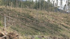 Pred desiatimi rokmi zažilo Slovensko katastrofu