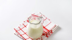 Odporúčanie odborníkov kvôli  slintačke a krívačke. Nepite nepasterizované mlieko a mäso tepelne spracujte