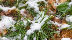 Konečne je to tu. Tuhé mrazy na Slovensku končia, prichádza veľké teplo, odkazujú meteorológovia