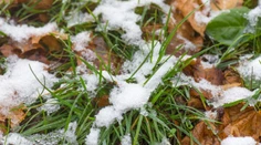 Konečne je to tu. Tuhé mrazy na Slovensku končia, prichádza veľké teplo, odkazujú meteorológovia